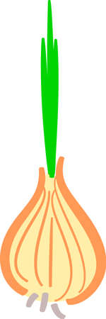 It is onions bulb. It is a theme of vegetables and food.のイラスト素材