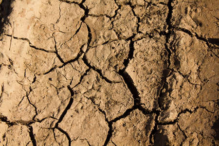dry earth