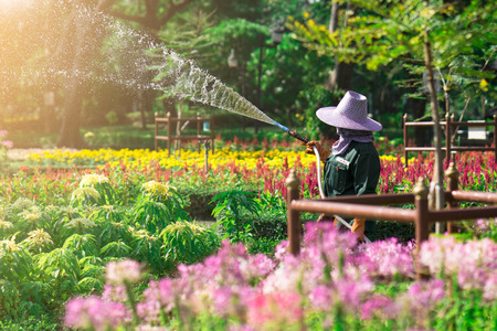Workers are watering trees in the park.の写真素材
