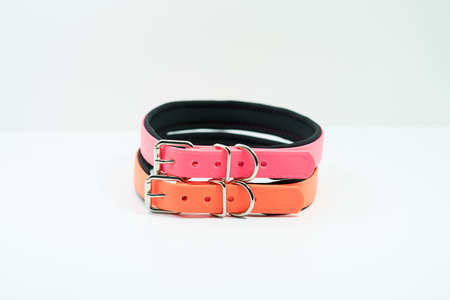 Pet supplies about rubber collars for pet on white background.の写真素材