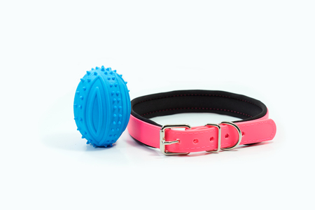 Pet supplies about collar and rubber toy for pet on whtie background.の写真素材