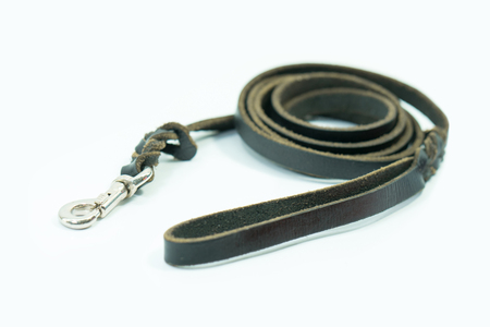 Pet leash of black leather isolated on white background.  Concept pet supplies about leash.の写真素材