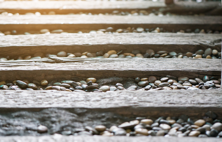 Pathway in garden at home.  Interiors garden concept.の写真素材