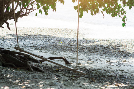 Swing under the trees on the beach at the sea.の写真素材