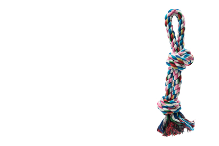 Pet accessories concept.  Pet Toy Bite with copy space on isolated white background.の写真素材