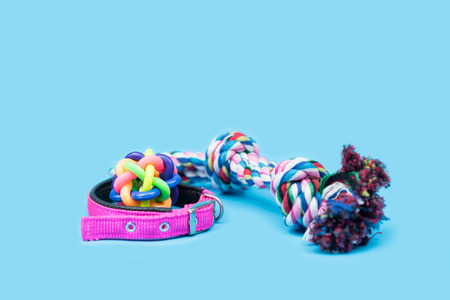 Pet accessories concept.  Pet Rope, rubber ball and collars on light blue background.の写真素材