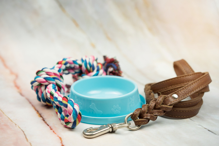 Leather leashes, food bowls and pet bites.  Pet supplies concept.の写真素材