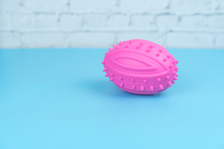 Rubber toy on blue background.  Pet accessories conceptの写真素材