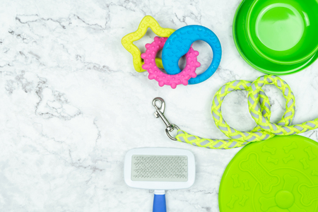 Pet supplies with copy space concept.の写真素材