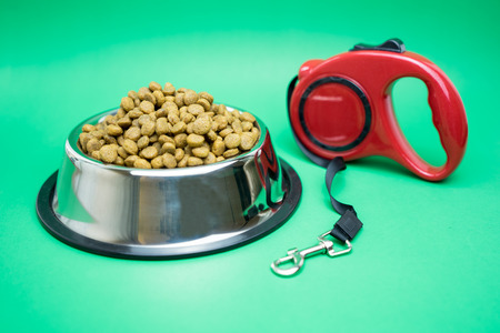 Dry food with automatic leashes for animal on green background.の写真素材