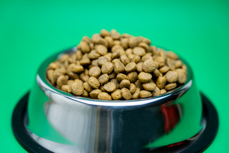 Dry food for pet on green background.の写真素材