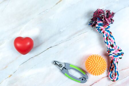 Heart shape, leashes, and toy for dog.  Pet are friend concept.