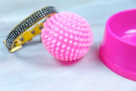 Rubber toy, Collar and bowl for dog.  Pet accessories concept.の写真素材