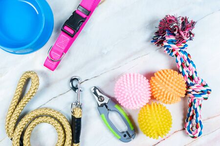 Pet accessories concept.  Toy, Collars, nail scissor and Leashes with copy spaceの写真素材