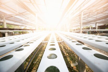 Organic vegetable growing plots.  Industrial concept