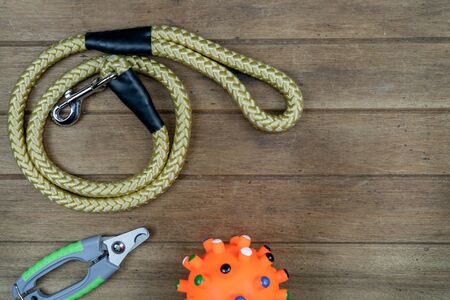 Leashes for dog or cat and nail scissors on wooden table