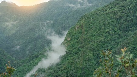 Mist on green mountain at the morning.  Early morning in Thailand mountains.