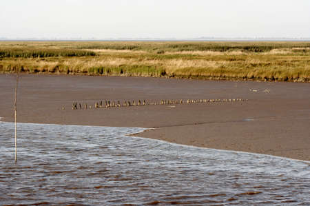 The Northseaの写真素材