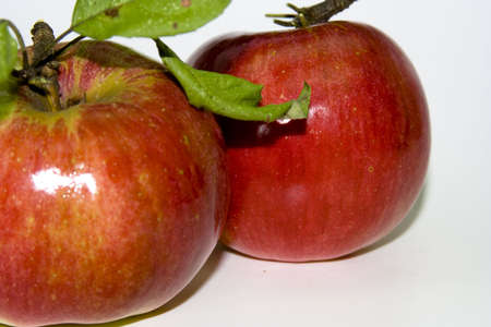 fresh red appleの写真素材