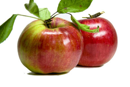 fresh red appleの写真素材