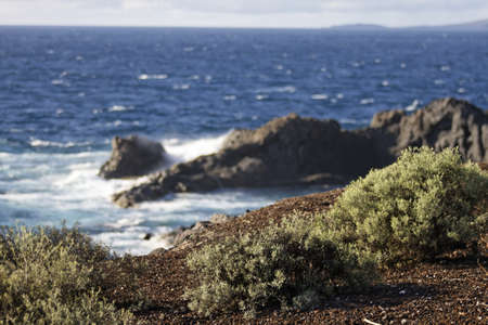 the coast of Los Gigantos at the island of Tenerifeの写真素材