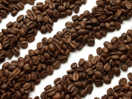 Coffee beans lines on white backgroundの写真素材