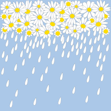 a lot of white chamomiles with petalsのイラスト素材