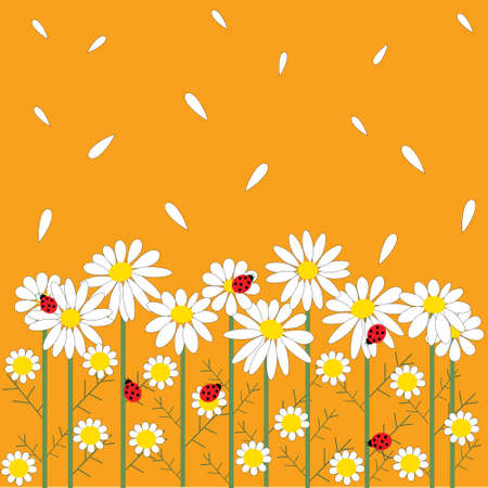 chamomile flowers on a orange  backgroundのイラスト素材