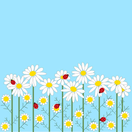 Chamomile flowers with a  ladybirds on a blue backgrounのイラスト素材