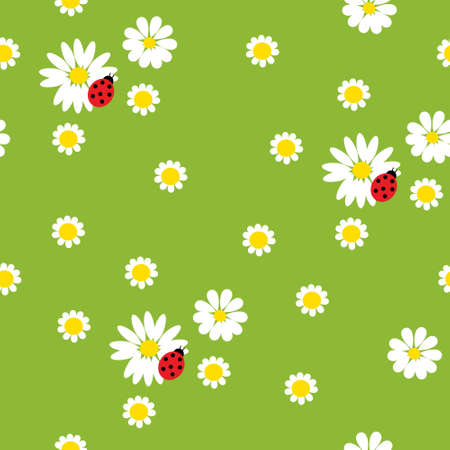 Chamomile flowers with a  ladybirds on a green backgroundのイラスト素材