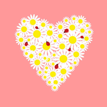 Heart of daisies with a red ladybugs のイラスト素材