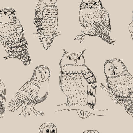 pattern with a various owls in retro styleのイラスト素材