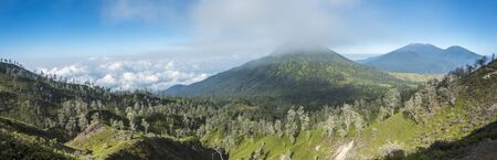 Panorama with green nature and hills on horizonの写真素材