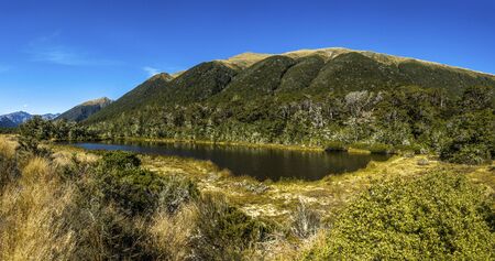 Small lake in a green mountains full of weed and treesの写真素材