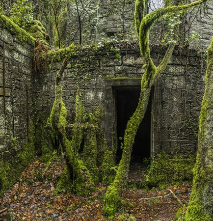 Dark door in the middle of old ruins with green moss all aroundの写真素材