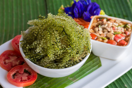 Sea grapes or Green Caviar with Thai style spicy salad dressingの写真素材