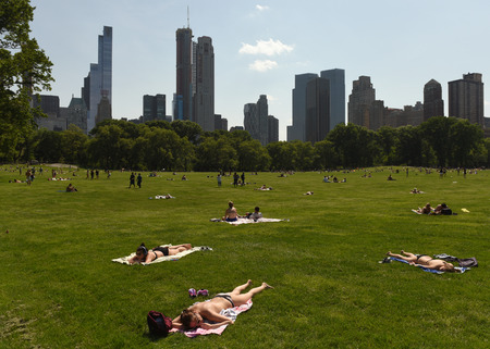 New York, USA - May 25, 2018: People relax on Sheep Meadow in Central Park and skyscrapers of the Manhattan at the background.のeditorial素材
