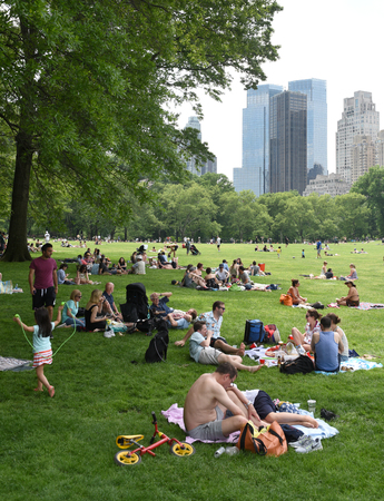 New York, USA - May 26, 2018: People are relax on the meadow in Central Park in New York.のeditorial素材