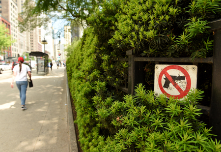 The Sign "No Gun" in Chicago, ILの写真素材