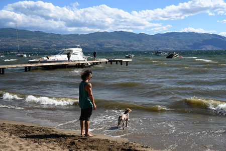 Kelowna, BC, Canada - July 18, 2023: Lake Avenue Dog Off-leash Beach in city of Kelowna.のeditorial素材