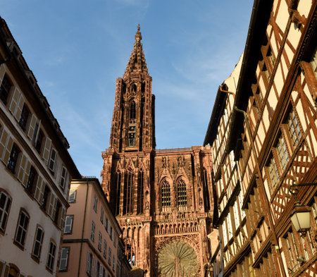 Strasbourg Cathedral or the Cathedral of Our Lady of Strasbourg in Strasbourg, France.の写真素材
