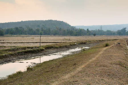 The picturesque steppe landscape with mountainsの写真素材