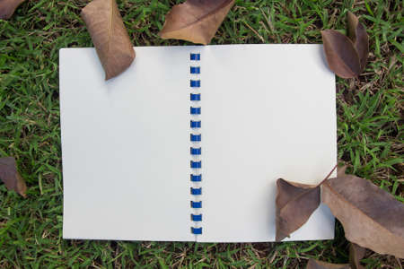 white notebook open on green grass background and texture