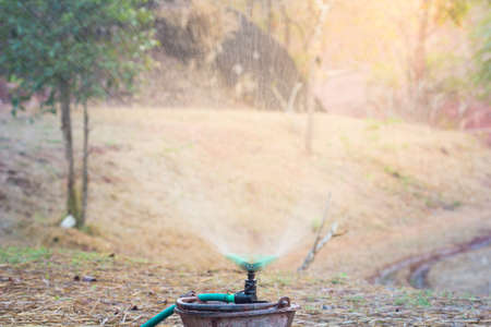 sprinkler of automatic watering-color effect