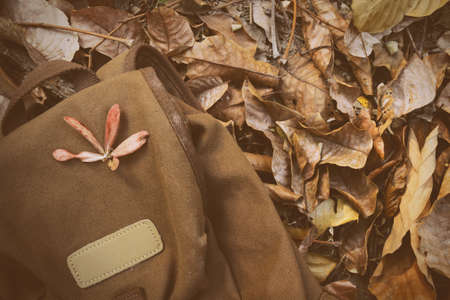backpack outdoors on leaf dry autumn nature in forest.の写真素材