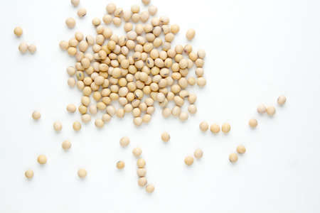 Soybean on gray color background. top view.の写真素材