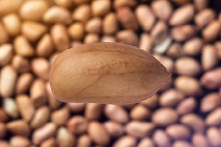 peanuts on background. top view
