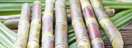Close up concept sugarcane on wood background.の写真素材
