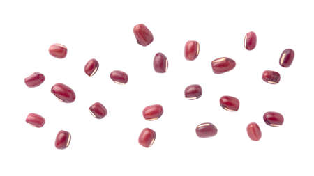 red bean on gray color background and clipping path.