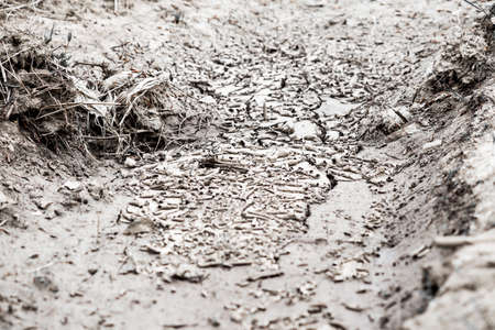 The cracked dry earth, drought,  dry riverbed, disasterの写真素材